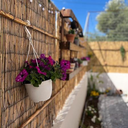 Antigoni's Studio Cozy Private Apartment Kíssamos Exterior foto