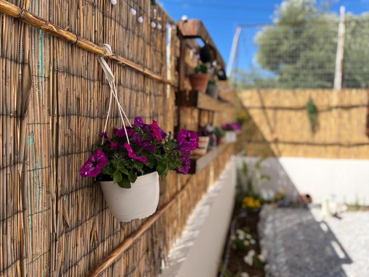 Antigoni's Studio Cozy Private Apartment Kíssamos Exterior foto